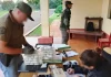 Decomisaron casi una tonelada de marihuana en un operativo en Misiones