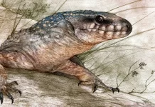 Hallan en la Patagonia un reptil de 70 millones de años y lo reconstruyen digitalmente