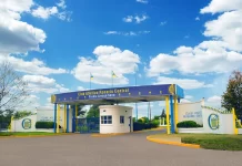 Una denuncia anónima por abusos y hostigamiento sacudió a la categoría 2013 de Rosario Central