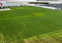 El césped del Monumental en su peor momento de cara al Superclásico ante Boca