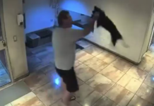 Salió con su perro al hall del edificio en Palermo y lo revoleó contra el piso