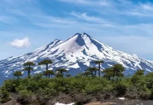 Quién es Javier Álvarez, el argentino que encontraron con vida tras desaparecer en el volcán Llaima de Chile