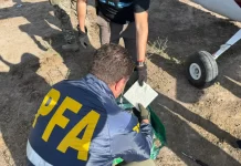 Interceptaron una avioneta en Santa Fe y secuestraron más de 400 kilos de cocaína: ocho detenidos