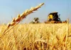 Argentina incrementó 21,2% sus exportaciones a Brasil