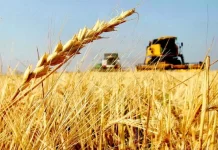 Argentina incrementó 21,2% sus exportaciones a Brasil