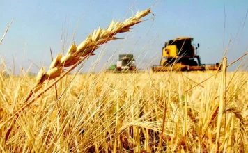 Argentina incrementó 21,2% sus exportaciones a Brasil