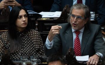 El oficialismo logró aprobar la Ley Hojarasca en Diputados