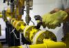 La ola polar disparó el consumo de gas y casi 150 empresas se quedaron sin suministro