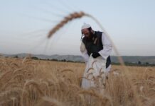 Israel: la economía sufrió una fuerte contracción tras el conflicto bélico con Irán