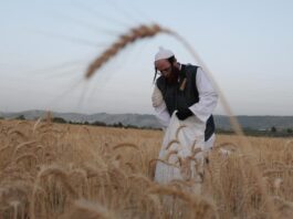 Israel: la economía sufrió una fuerte contracción tras el conflicto bélico con Irán
