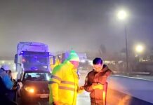 Autopista Dellepiane y avenida General Paz: choque de un camión y un auto