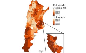 Mapa del sobrepeso y el retraso del crecimiento en la Argentina: en qué zonas del país coexisten