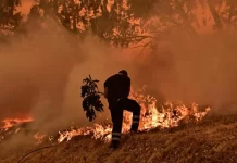 Incendios forestales devastaban miles de hectáreas en Florida