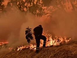 Incendios forestales devastaban miles de hectáreas en Florida