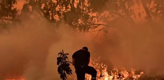 Incendios forestales devastaban miles de hectáreas en Florida
