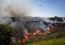 Un incendio forestal en el sur de California obliga a evacuar a más de 17.000 residentes