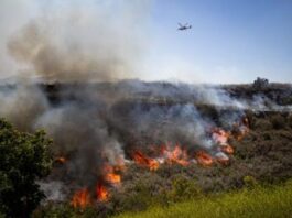 Un incendio forestal en el sur de California obliga a evacuar a más de 17.000 residentes