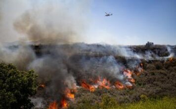Un incendio forestal en el sur de California obliga a evacuar a más de 17.000 residentes