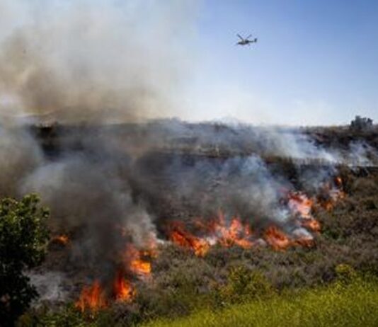 Un incendio forestal en el sur de California obliga a evacuar a más de 17.000 residentes