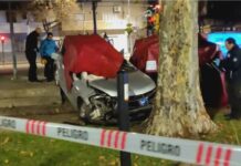 Una mujer perdió el control del auto y chocó contra un árbol: murió en el lugar