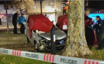 Una mujer perdió el control del auto y chocó contra un árbol: murió en el lugar
