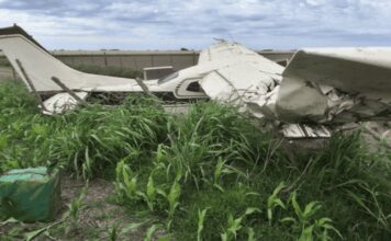 Otro avión narco: cayeron en un campo con una aeronave cargada con 400 kilos de cocaína y en su huida arrollaron a un gendarme