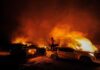 ¿Cuánto cuestan los incendios forestales en la Patagonia? Las conclusiones alarmantes de dos expertos que hicieron el cálculo