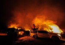 ¿Cuánto cuestan los incendios forestales en la Patagonia? Las conclusiones alarmantes de dos expertos que hicieron el cálculo