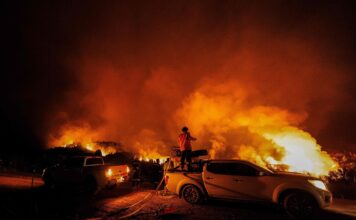 ¿Cuánto cuestan los incendios forestales en la Patagonia? Las conclusiones alarmantes de dos expertos que hicieron el cálculo