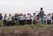 Adiós a la Argentina: una gigante alemana del agro deja el país tras dos décadas