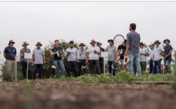 Adiós a la Argentina: una gigante alemana del agro deja el país tras dos décadas