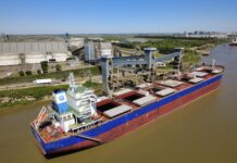 China ya compró casi 400.000 toneladas de trigo argentino desde el primer embarque tras 30 años