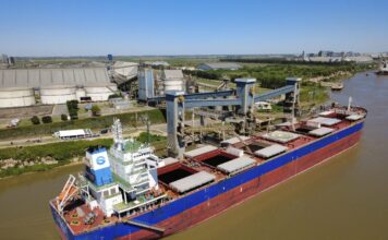 China ya compró casi 400.000 toneladas de trigo argentino desde el primer embarque tras 30 años