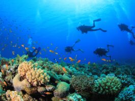 Qué pasó con los cinco italianos que murieron en Maldivas durante una excursión de buceo