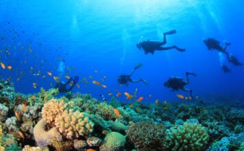 Qué pasó con los cinco italianos que murieron en Maldivas durante una excursión de buceo