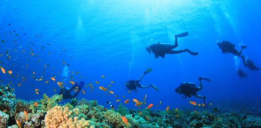 Qué pasó con los cinco italianos que murieron en Maldivas durante una excursión de buceo