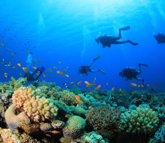 Qué pasó con los cinco italianos que murieron en Maldivas durante una excursión de buceo