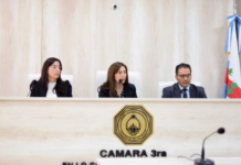 La mató de un golpe con un bloque de cemento en la cabeza: pidieron prisión perpetua
