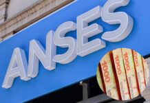 SUAF de la Anses: cuánto se cobra por asignaciones familiares en julio de 2026 con el aumento oficial
