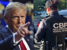 Confirmado: Trump endurece el control aduanero y los importadores que no cumplan perderán sus permisos