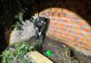 Encontraron droga enterrada y detuvieron a un hombre por supuestos vínculos con la avioneta secuestrada en Villa Eloísa