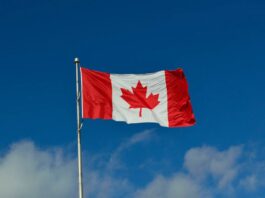 Canadá busca prohibir que los menores de 16 años tengan cuentas en las redes sociales