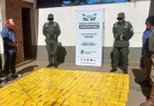 Salta: condenaron a siete gendarmes, integrantes de una banda narco