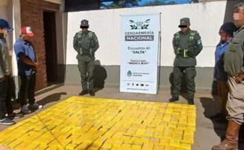Salta: condenaron a siete gendarmes, integrantes de una banda narco