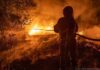 2 de junio: Día Nacional del Bombero Voluntario