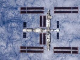 China pone a prueba embriones humanos artificiales en el espacio