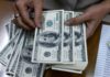 El dólar subió en el segmento mayorista y se espera menos liquidación de divisas