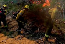Salta: incendió forestal en Cafayate ya consumió cerca de 200 hectáreas