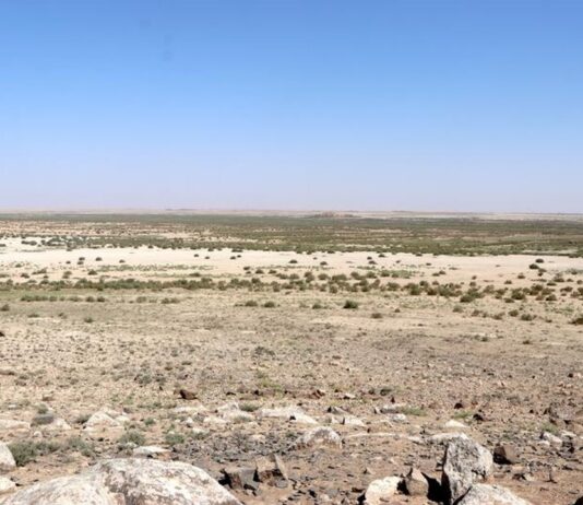 Brasil moviliza a 20 ministerios para enfrentar los efectos de El Niño