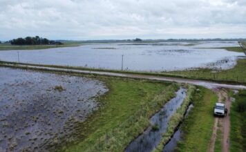 Economía declaró la emergencia agropecuaria en varios departamentos de Santa Fe por inundaciones